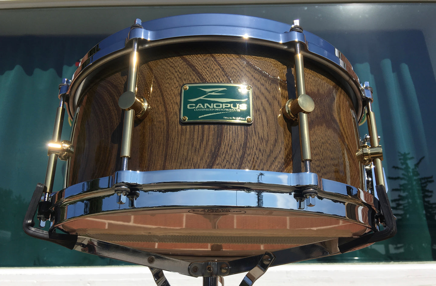 Canopus Zelkova Solid Snare 6.5"x14"